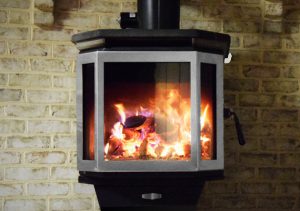 Catalyst Fire Wood Burning Stove