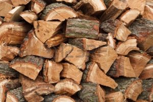 Pile of Chopped Wood